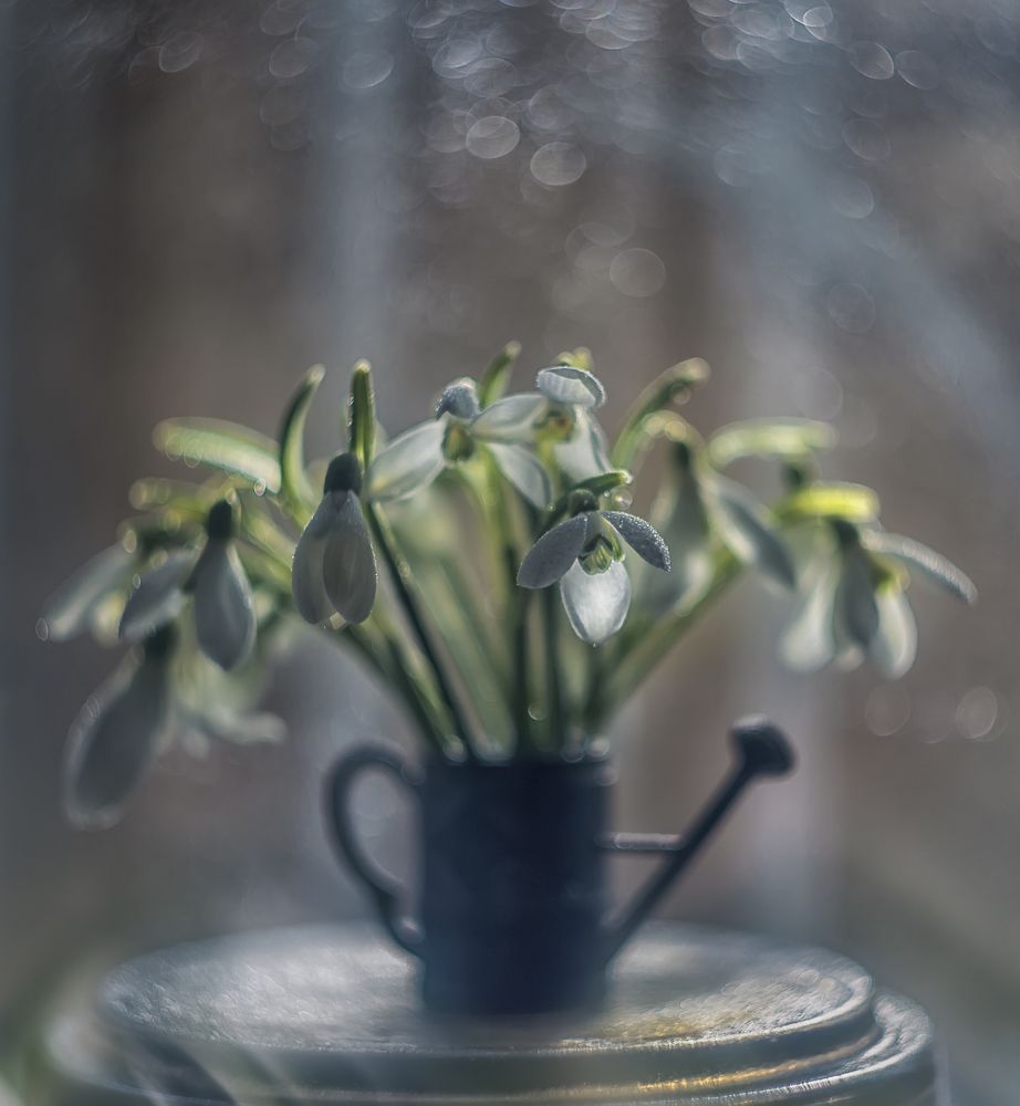 Фотография автора Сигидова Ирина