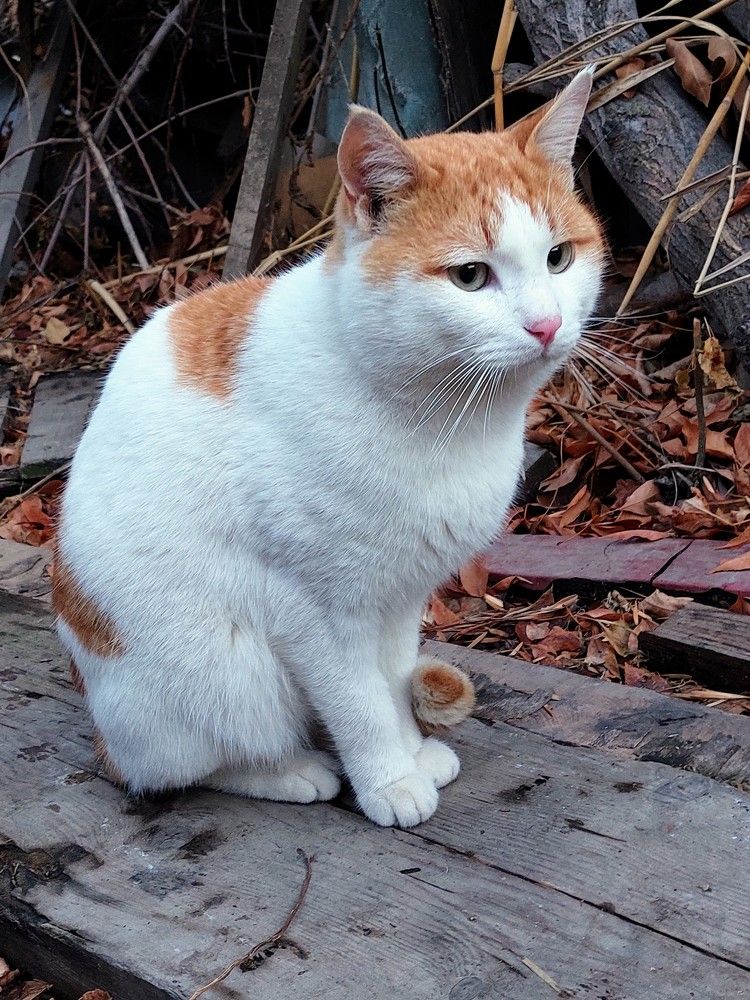 Photograph by Нина Паршина