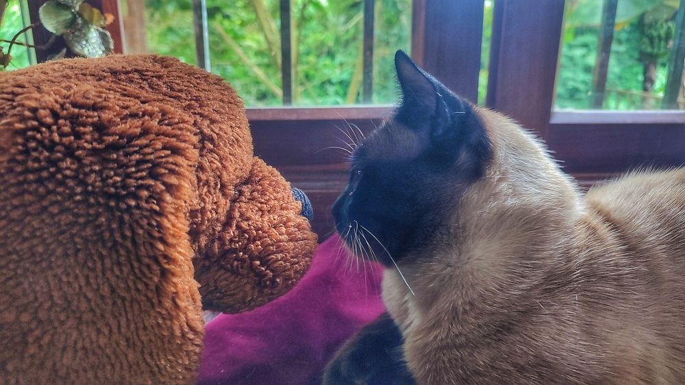 Photograph by nileydi colmenarez