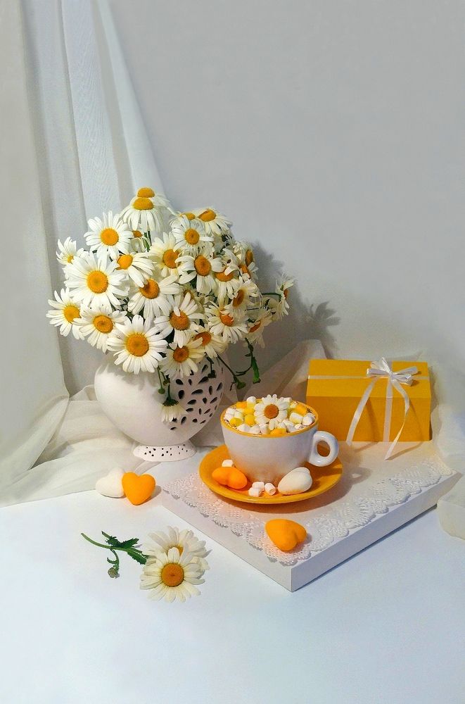 Photograph by Виолетта Рябова