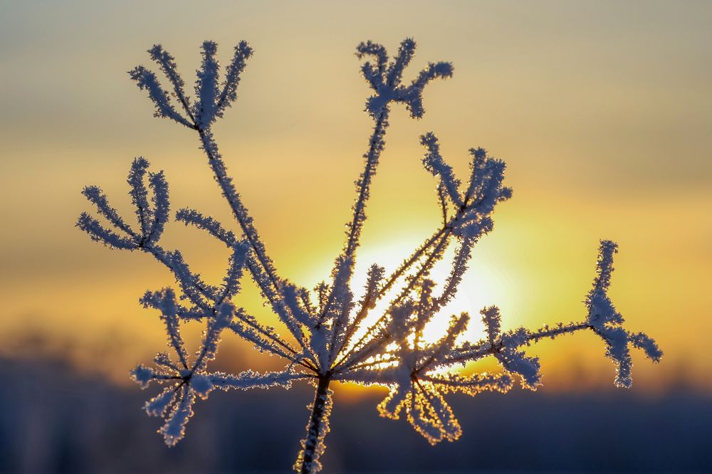 Photograph by Андрей