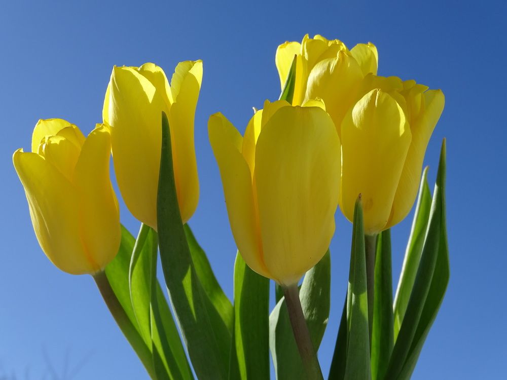 Photograph by Марина Мишина