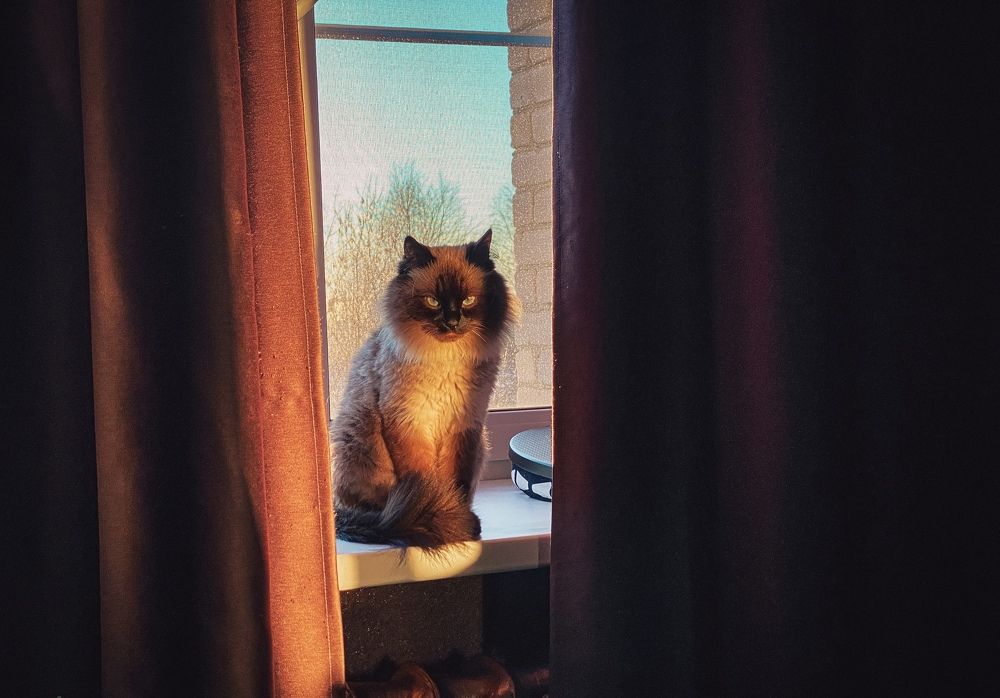 Photograph by Владислав Трушков