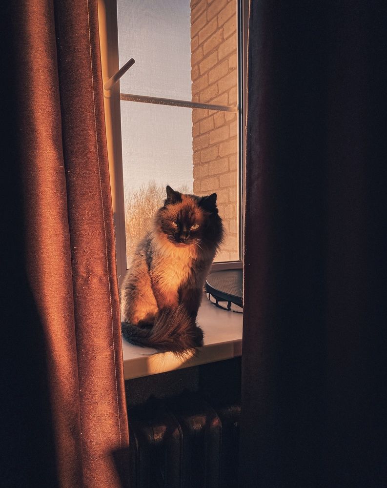 Photograph by Владислав Трушков