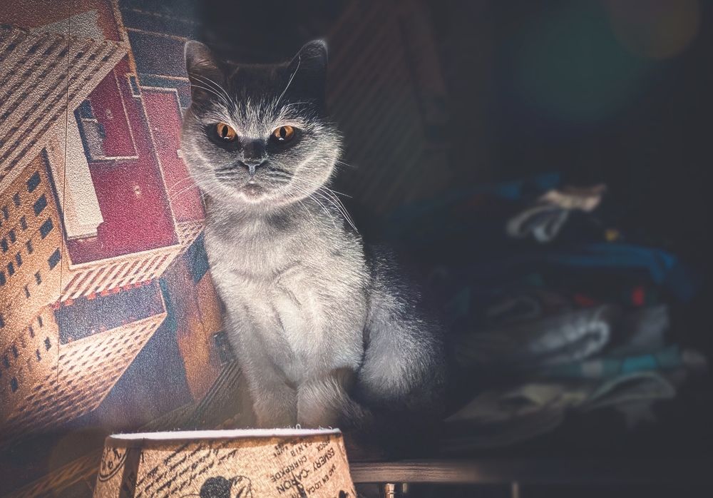 Photograph by Владислав Трушков