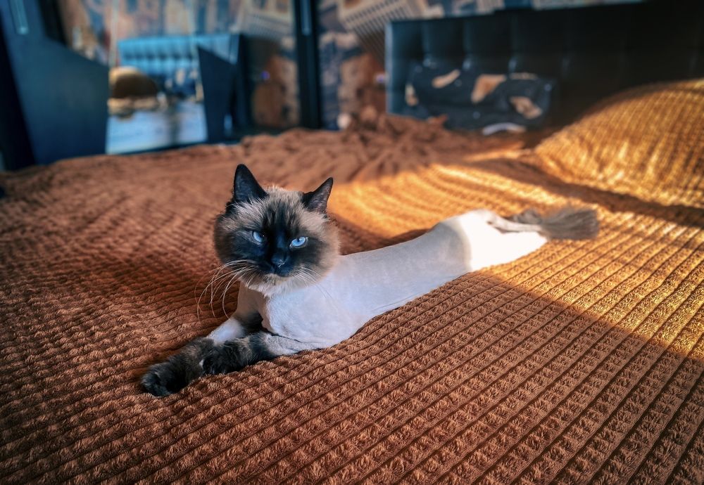 Photograph by Владислав Трушков