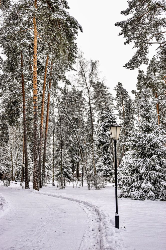 Photograph by Ольга Семина