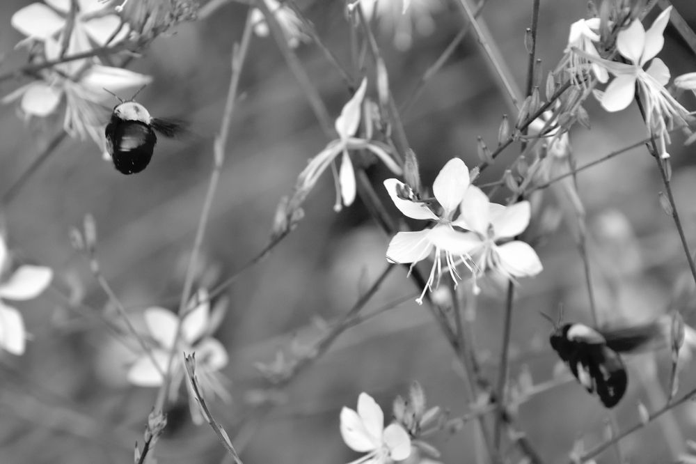 Photograph by Анатолий Хальман