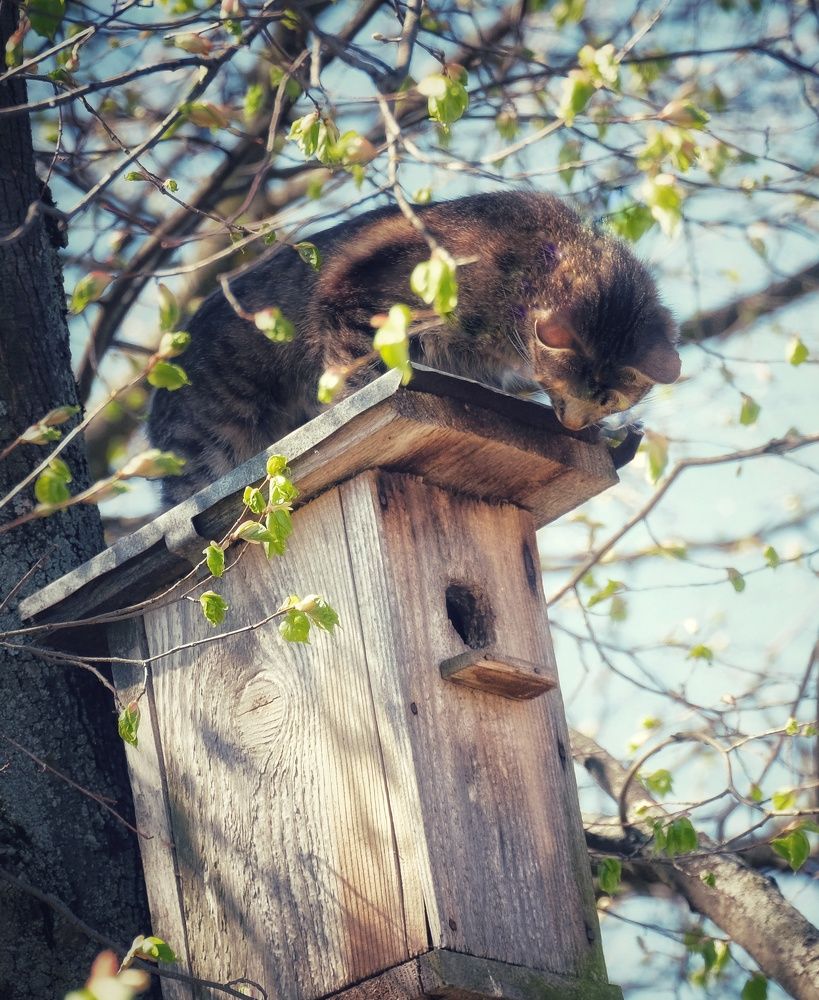 Photograph by Наталья Болотенков