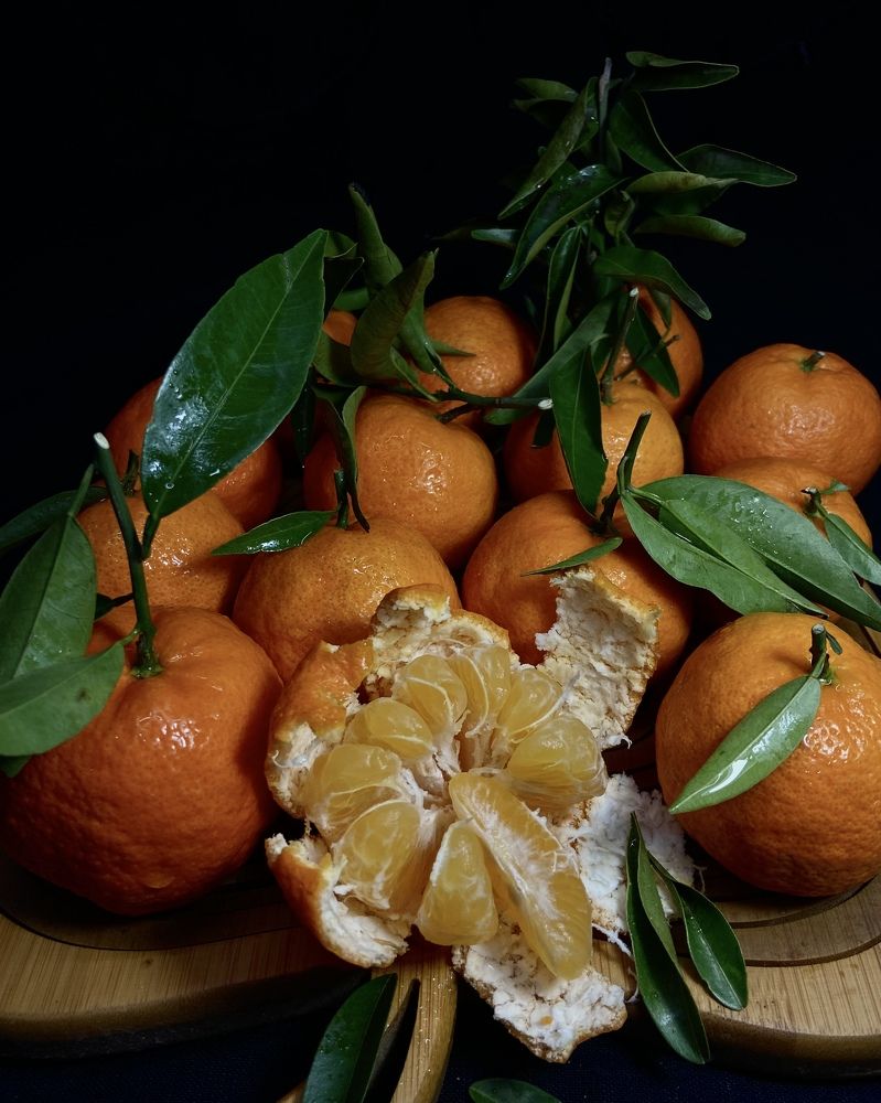 Photograph by Светлана Станевич