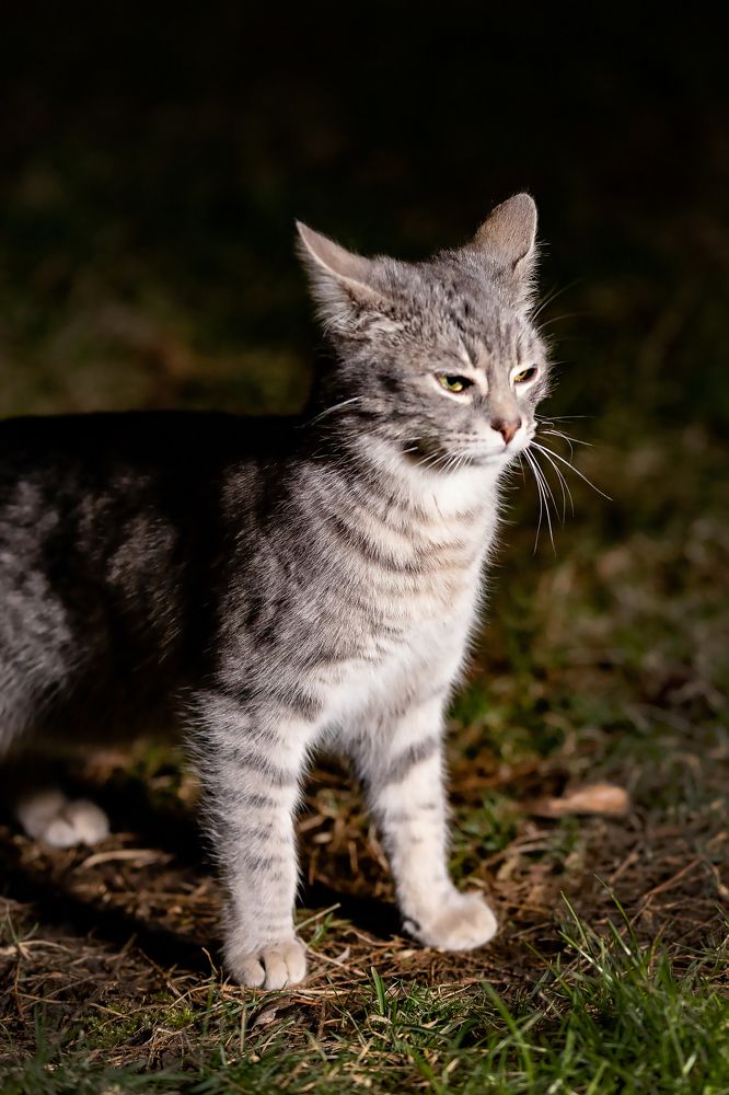 Photograph by Ольга Богданова