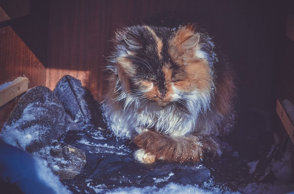 Photograph by Дмитрий Педченко