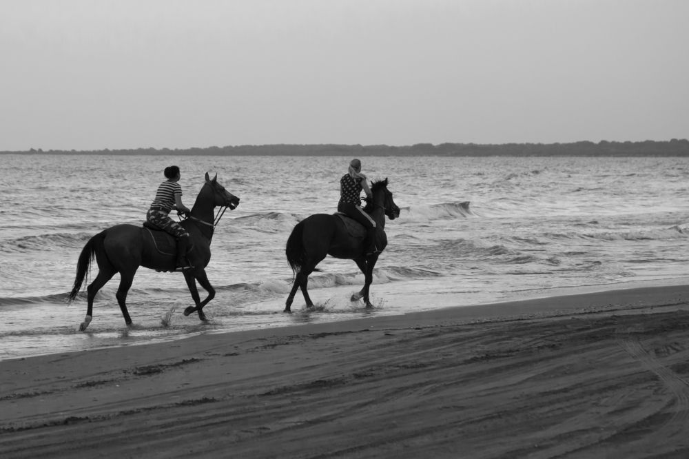 Photograph by Алёна Пшеленская