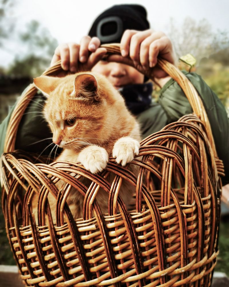 Photograph by Наталья Асоскова