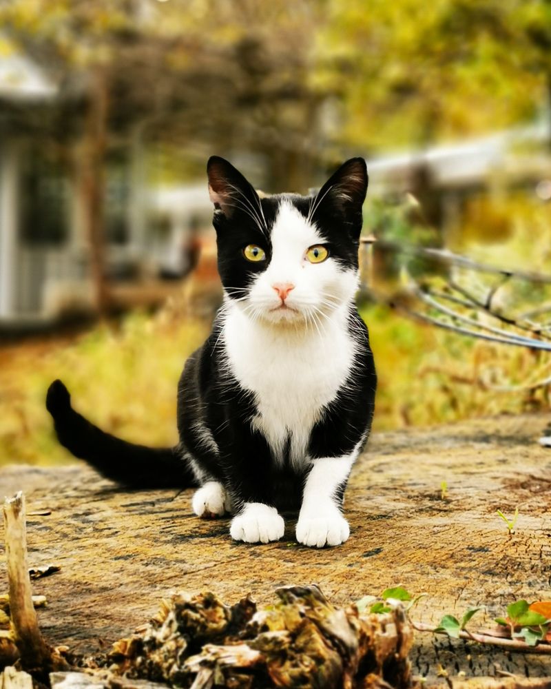 Photograph by Наталья Асоскова