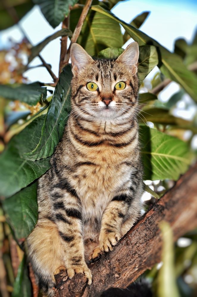 Photograph by Idir Bouaicha