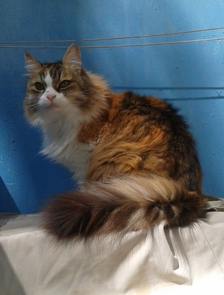 Photo #8667609