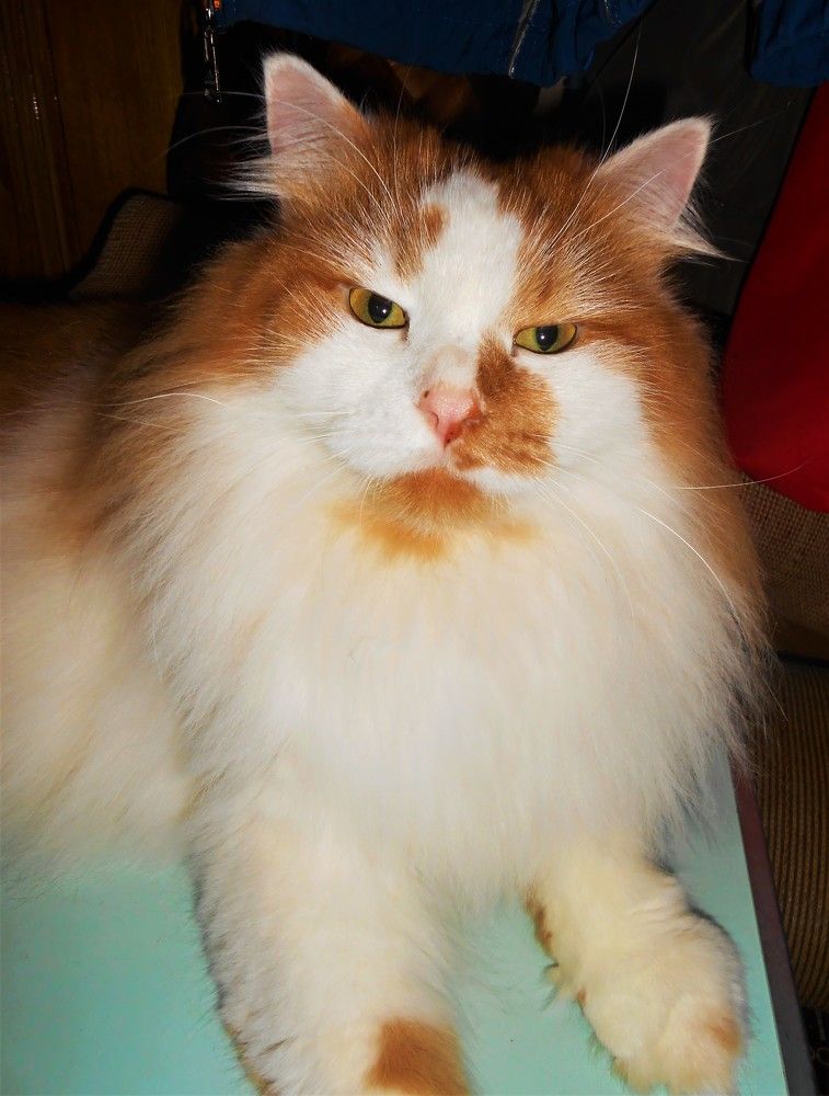 Photograph by Галина Глазкова