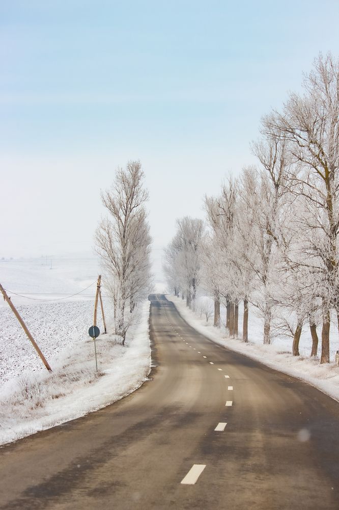 Photograph by Gabi Iurea