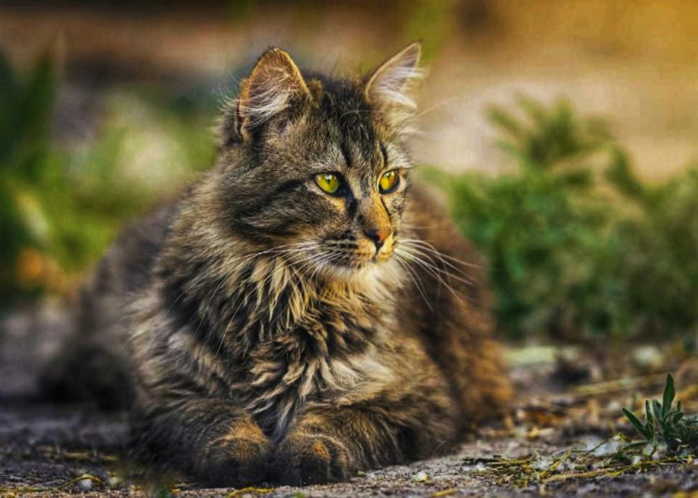 Photograph by Idir Bouaicha