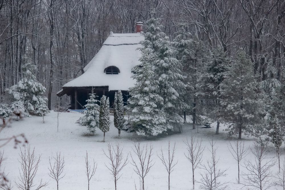 Photograph by Gabi Iurea