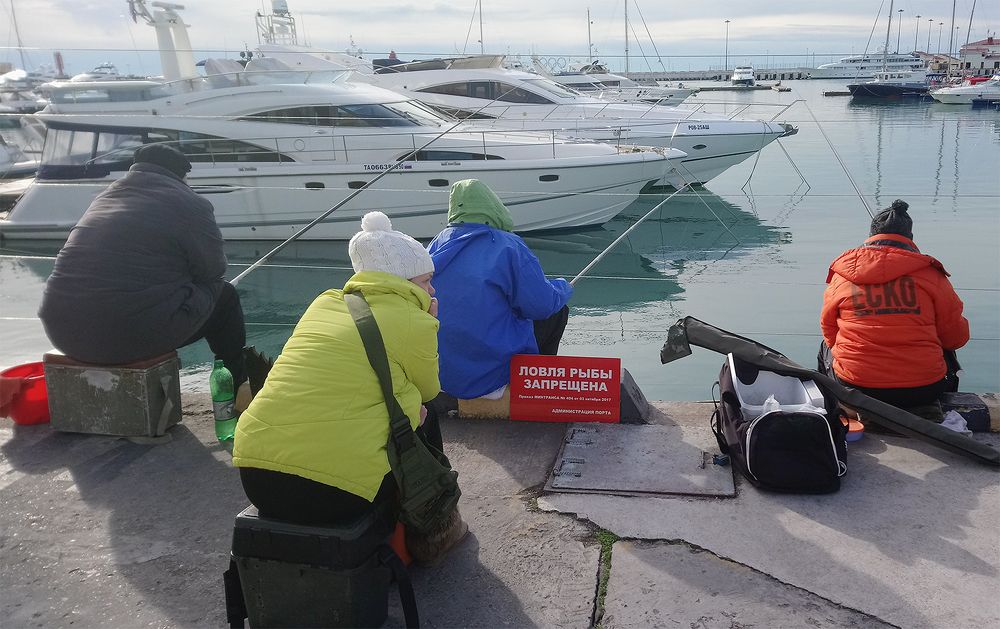 Запреты не страшны /Bans are not terrible