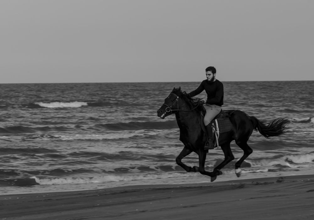 Галопом вдоль моря