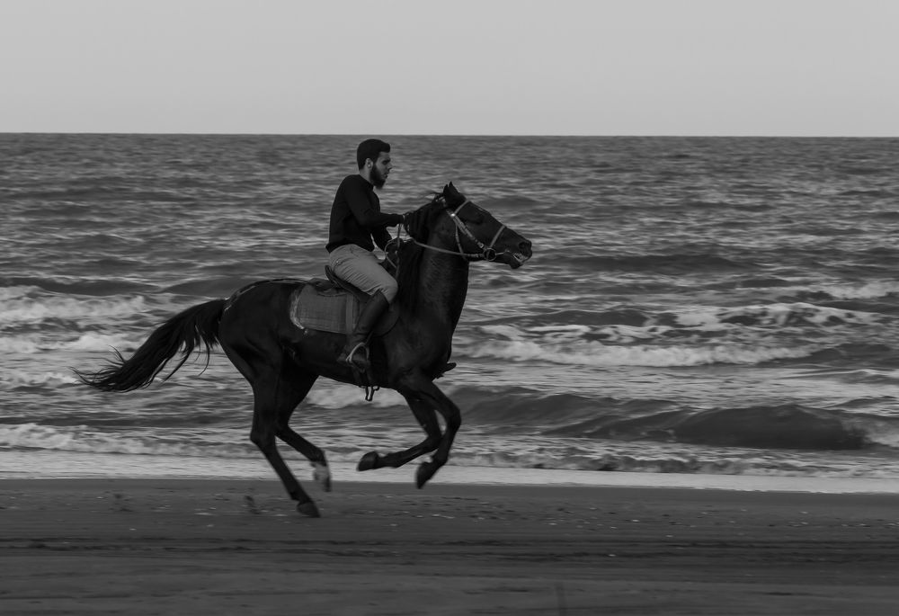 Фотография автора Вадим Лабитов