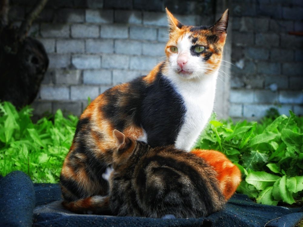 Photograph by Idir Bouaicha