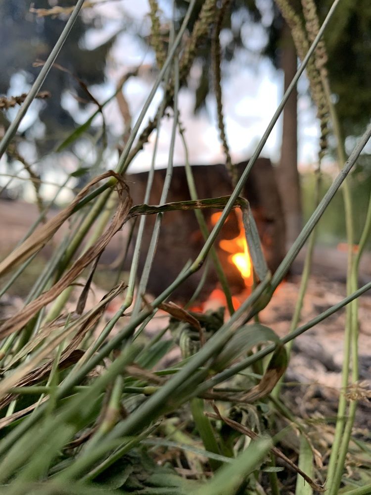 Photograph by Просто Стася