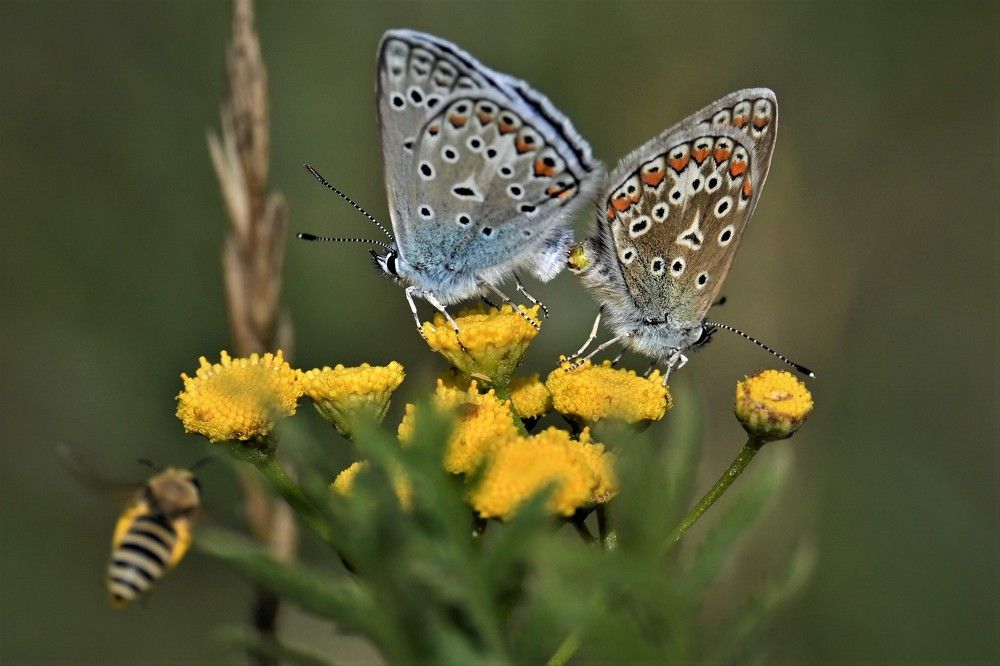 Фотография автора IRINA FILIPPOVA