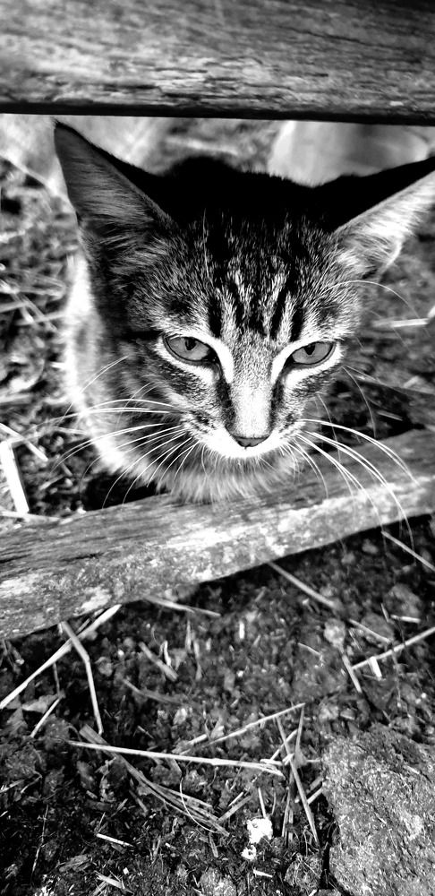 Photograph by Людмила Сердюкова