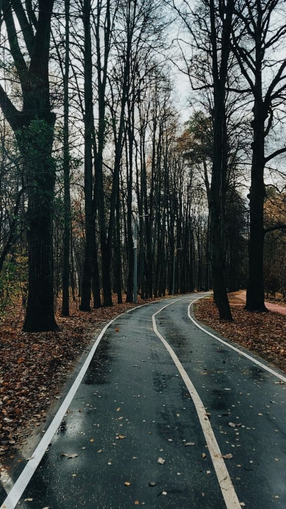 Photograph by Александра