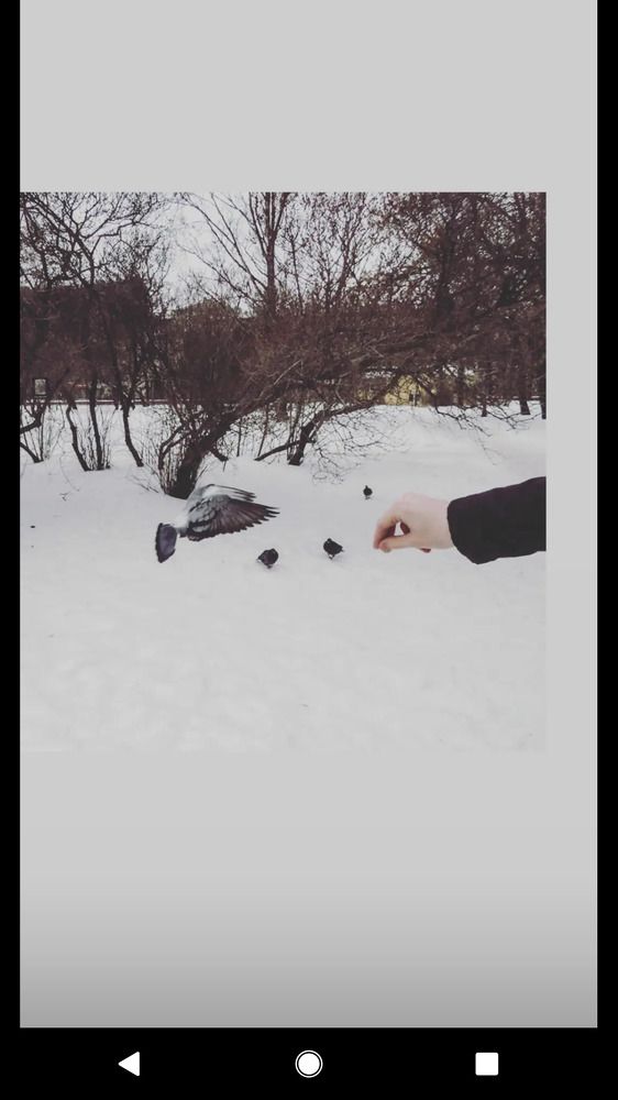 Photograph by Дарья Макаревич