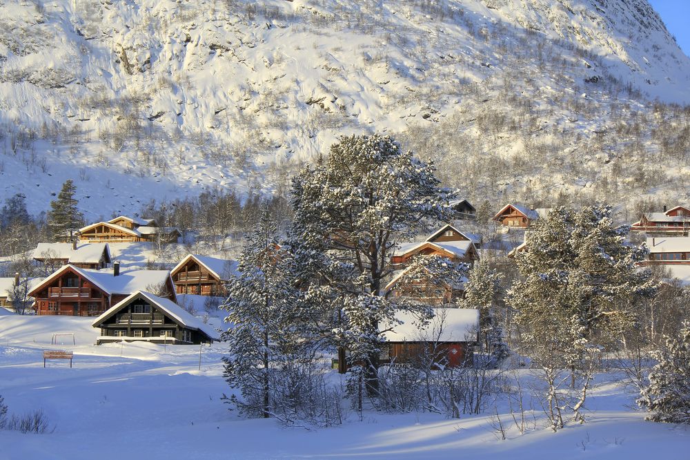 Photograph by Игорь Кутний