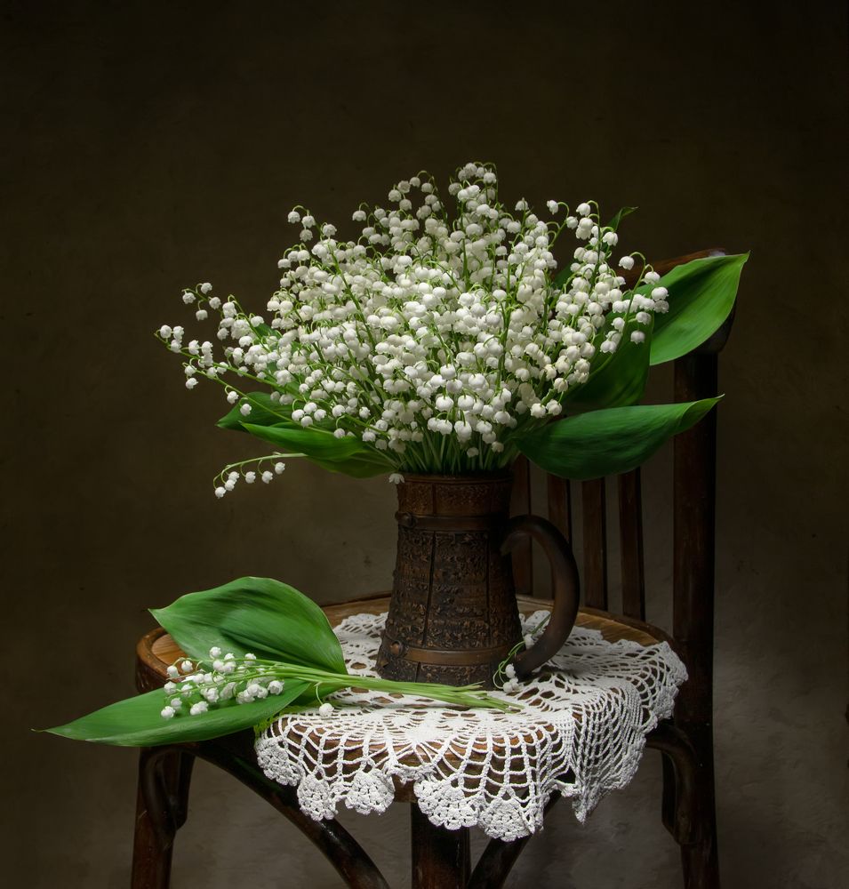 Photograph by 