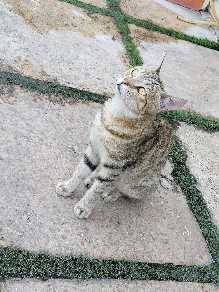 Photograph by Rahele Almassi