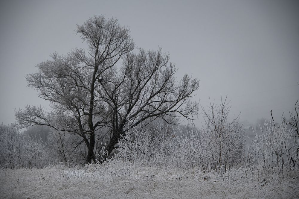 Photograph by Roman Adler