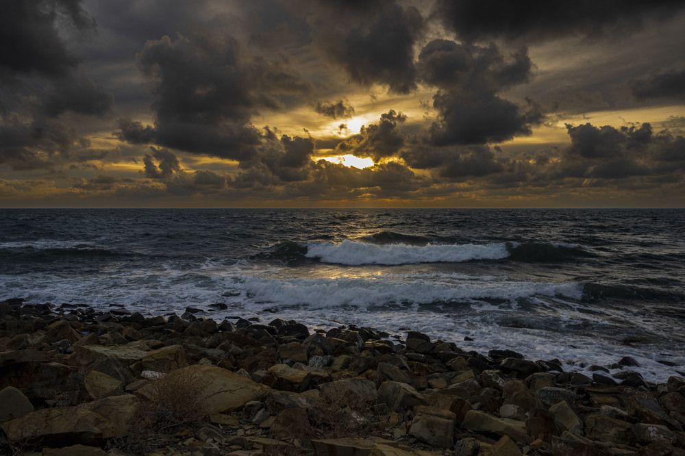 Photograph by Roman Adler