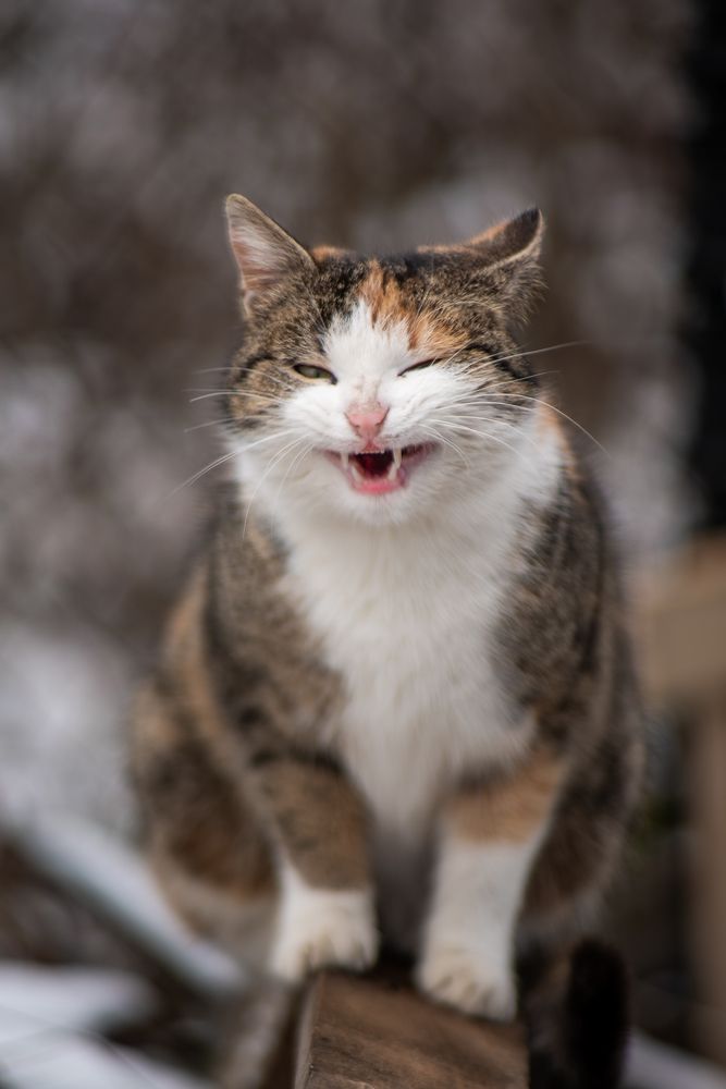 Photograph by Алексей Леднов