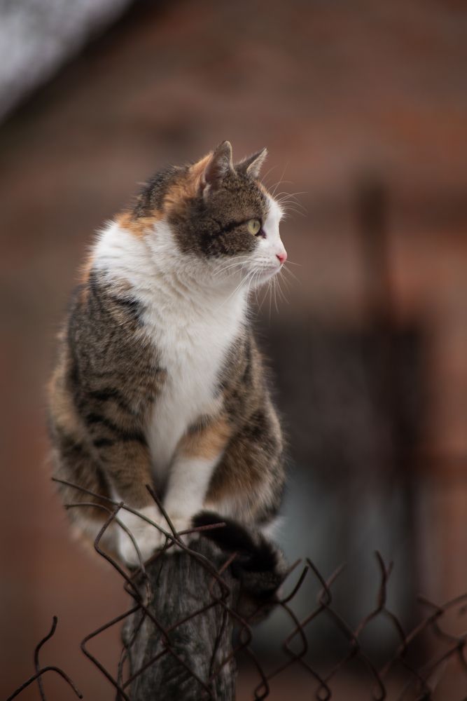 Photograph by Алексей Леднов