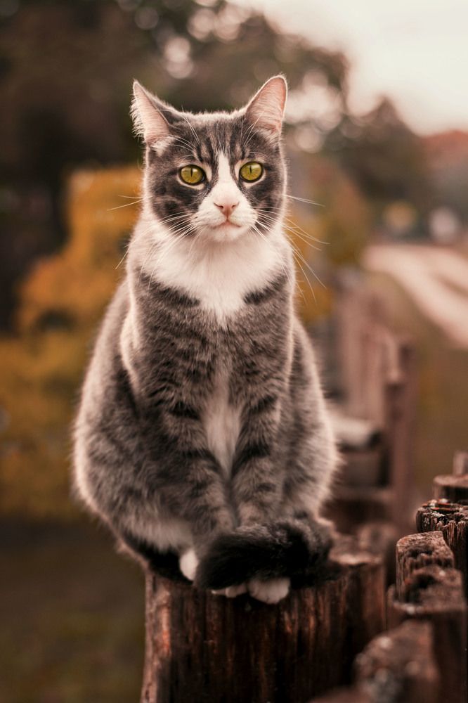 Photograph by Валентина Караблина