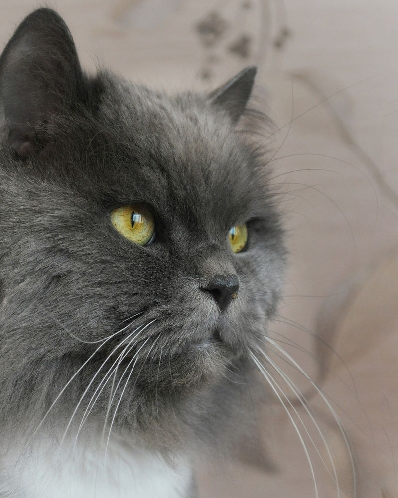 Фотография автора Тамара Караваева