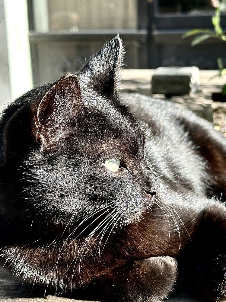 Photograph by Евгения Казакова