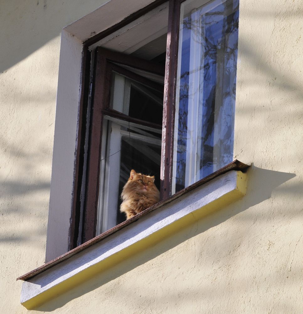 Photograph by Дерезюк Юрий Александрович