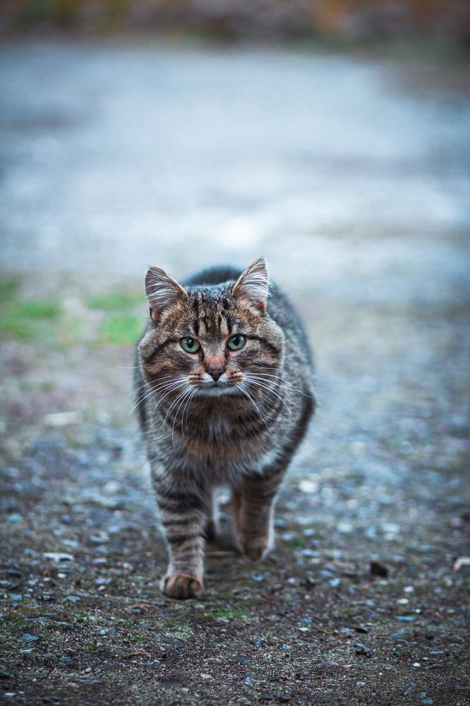 Photograph by Валентин Орсик