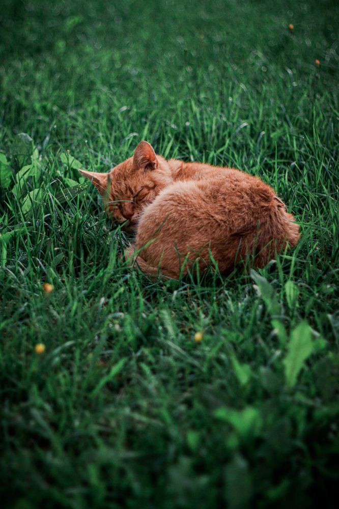 Photograph by Валентин Орсик