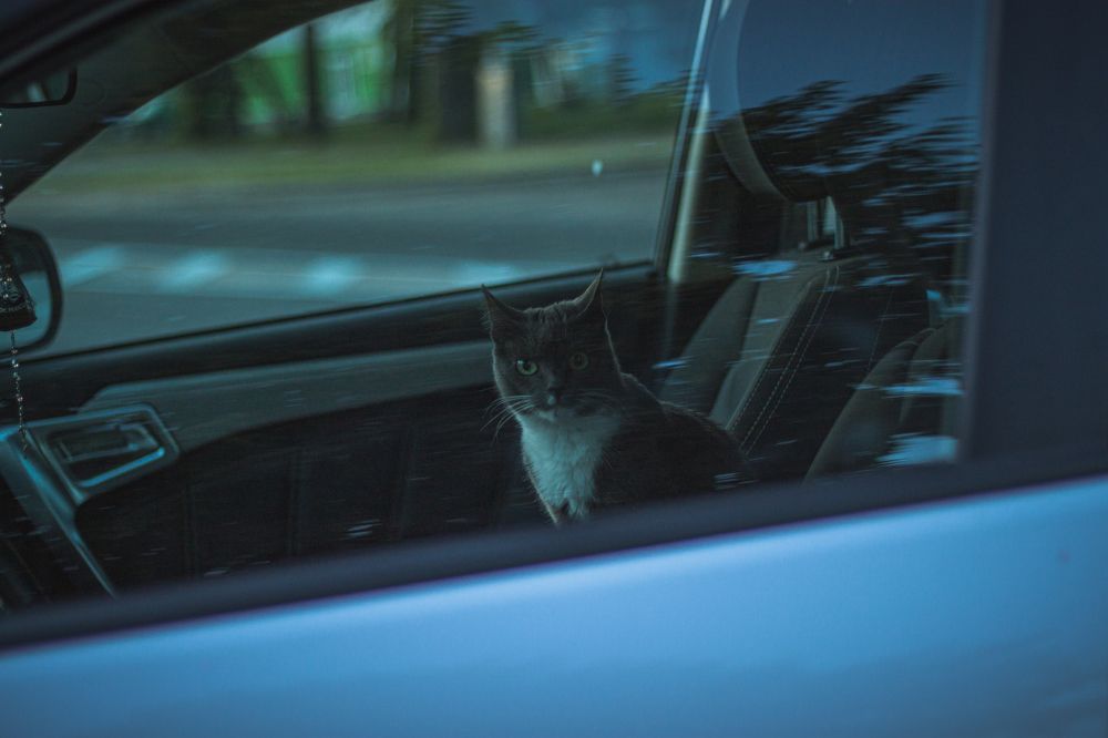 Photograph by Валентин Орсик