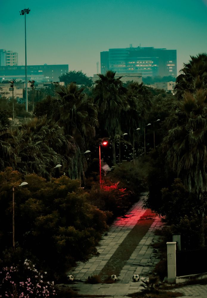 Photograph by Prakhar Sharma