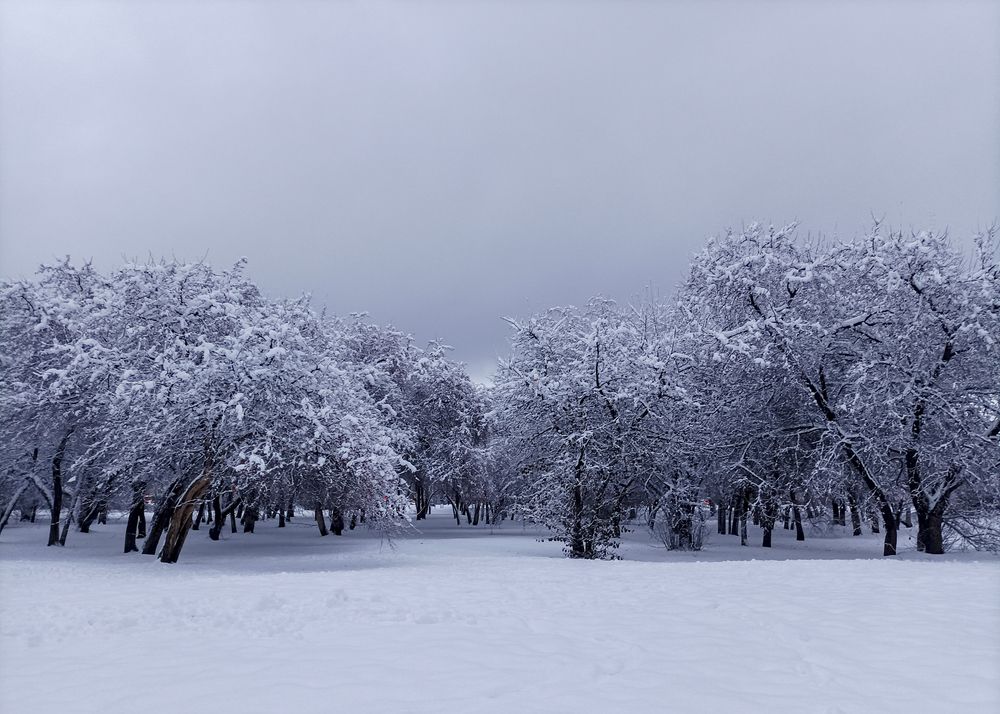 Photograph by Татьяна Атисс